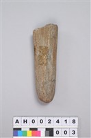 藏品(石錘)的圖片